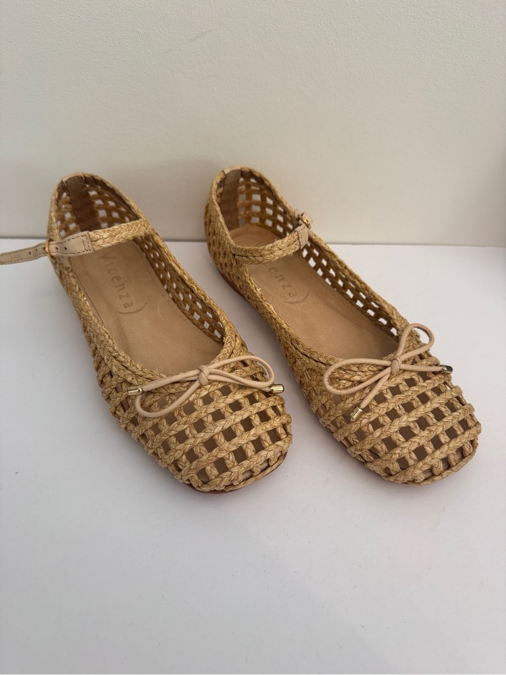 Vicenza Woven Mary Jane Ballet Flat- sz8